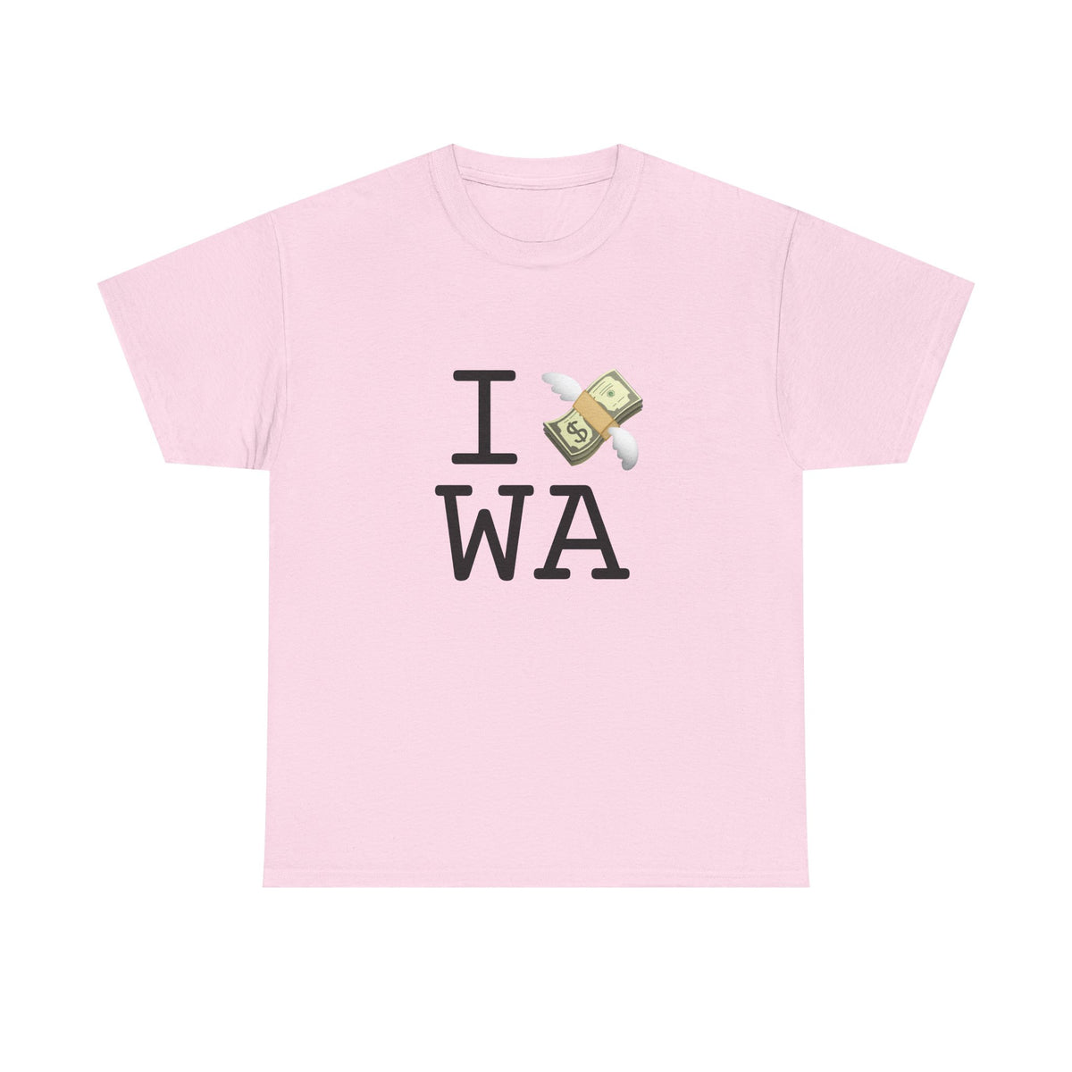 "I Lose Money in Washington" Tee