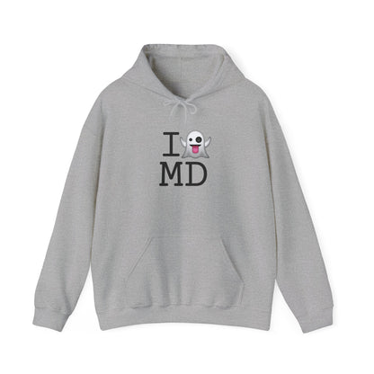 "I'm Ghosting Maryland" Hoodie