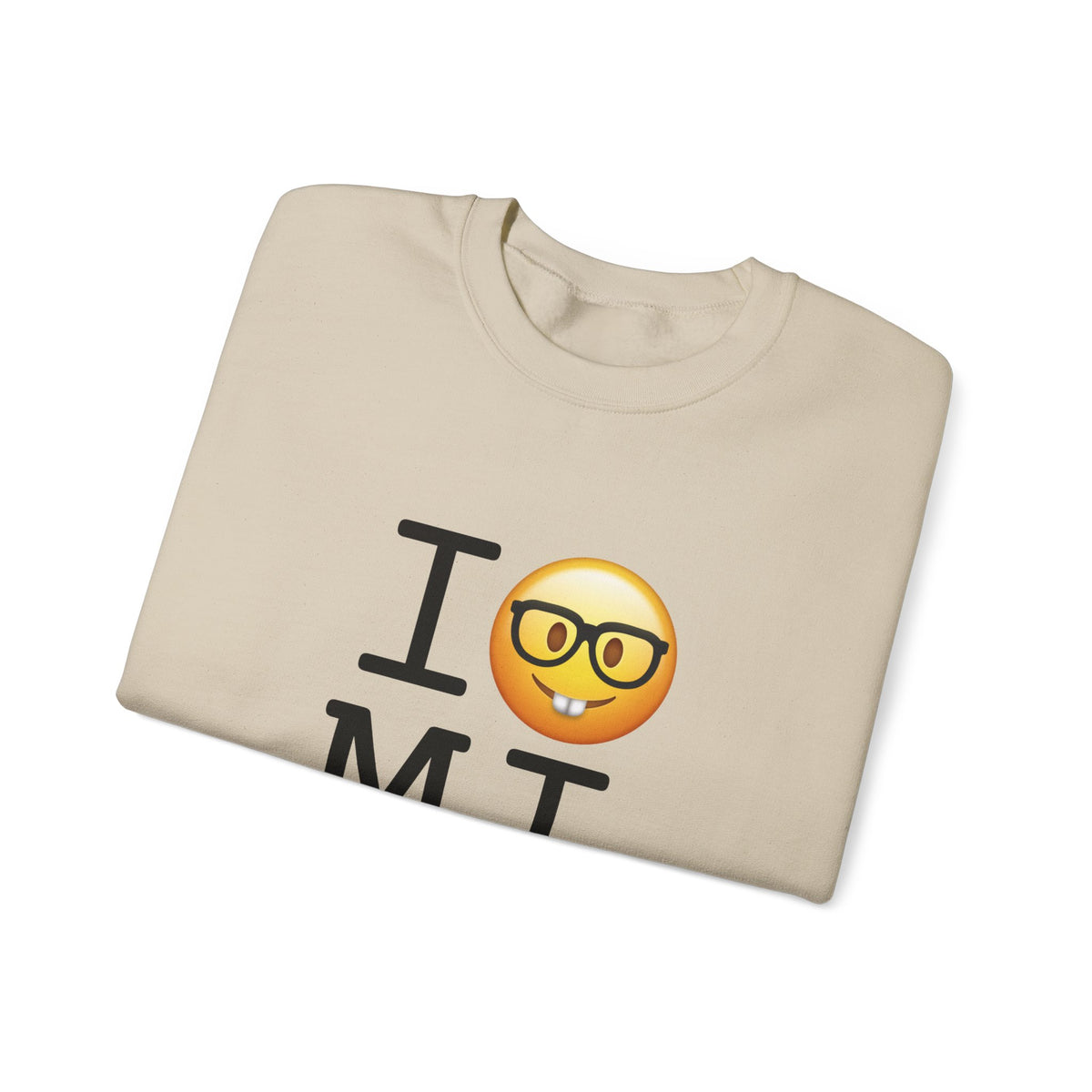 "I'm a Nerd about Michigan" Sweatshirt