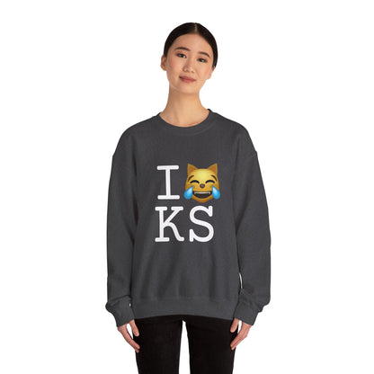 "I'm Laughing like a Cat at Kansas" Sweatshirt