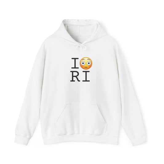 "I'm Embarrassed by Rhode Island" Hoodie