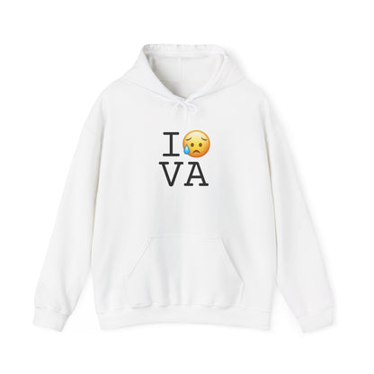 "I'm Sad About Virginia" Hoodie