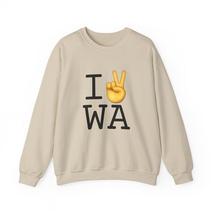 "I Show Peace to Washington" Sweatshirt