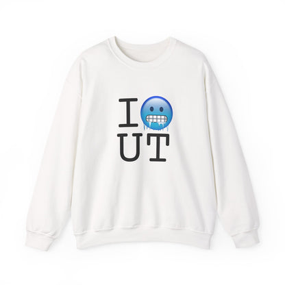 "I'm Cold in Utah" Sweatshirt