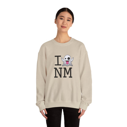 "I'm Ghosting New Mexico" Sweatshirt