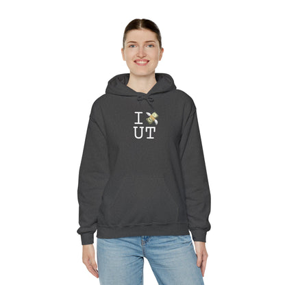 "I Lose Money in Utah" Hoodie