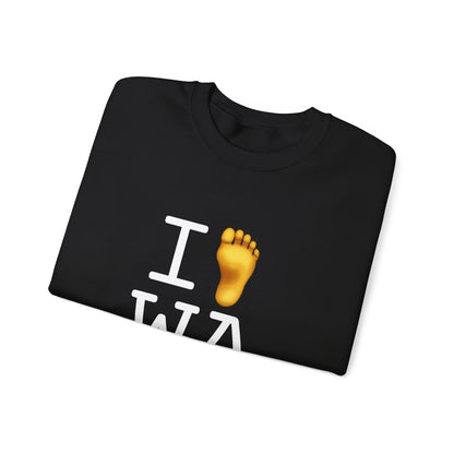 "I Foot Washington" Sweatshirt