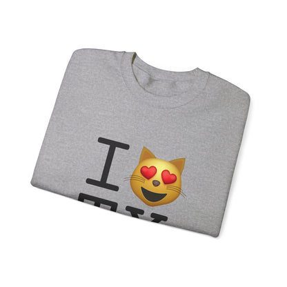 "I'm a Cat that Loves Texas" Sweatshirt