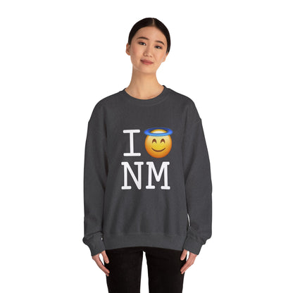 "I'm an Angel in New Mexico" Sweatshirt