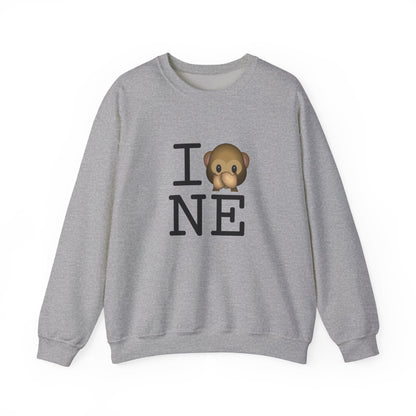 "I Don't Speak about Nebraska" Sweatshirt