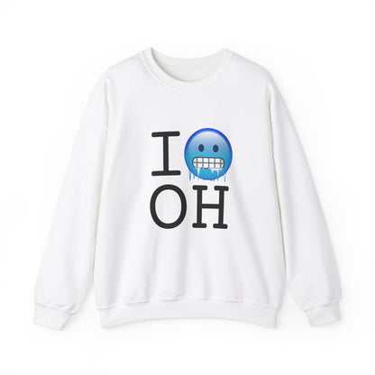 "I'm Cold in Ohio" Sweatshirt