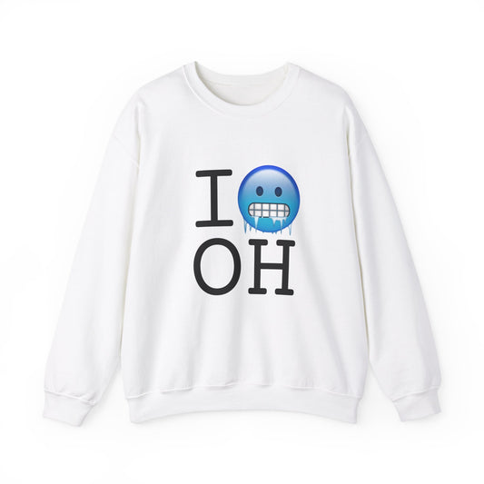 "I'm Cold in Ohio" Sweatshirt