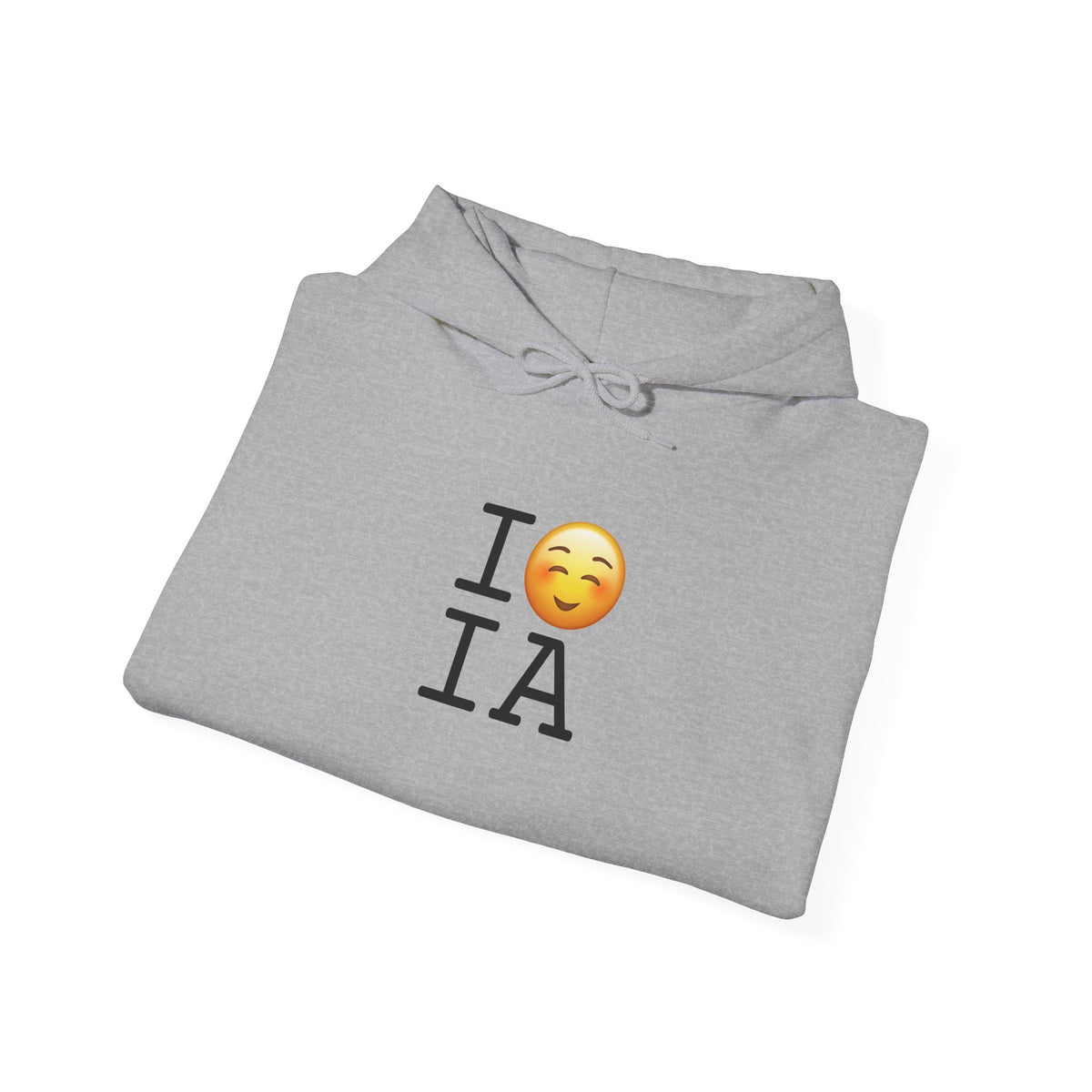 "I Blush at Iowa" Hoodie