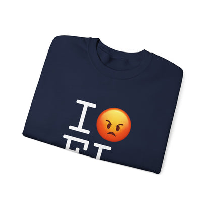 "I'm Angry about Florida" Sweatshirt