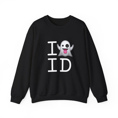 "I'm Ghosting Idaho" Sweatshirt