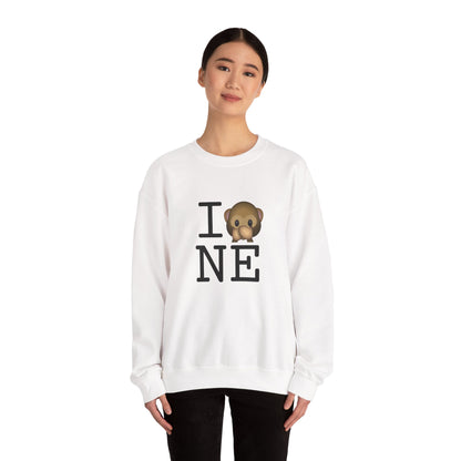 "I Don't Speak about Nebraska" Sweatshirt