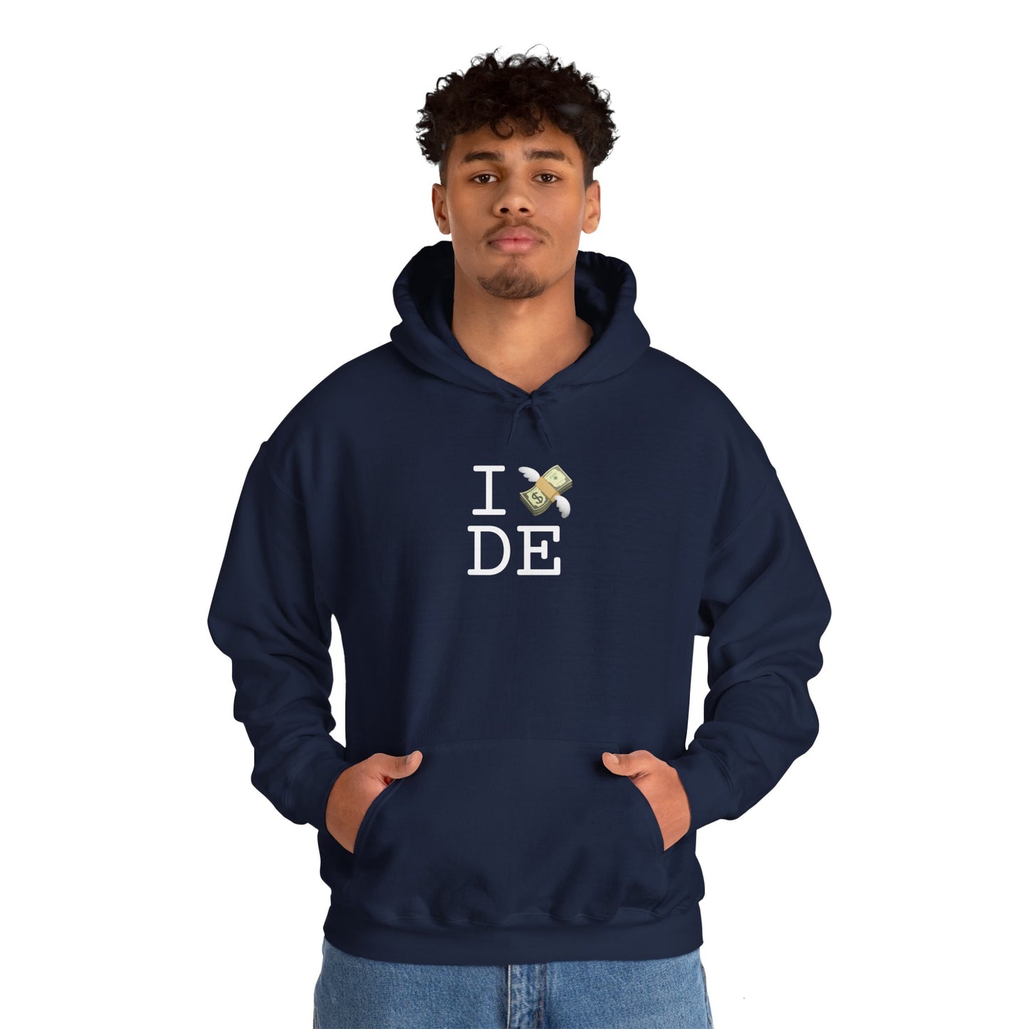 "I Lose Money in Delaware" Hoodie