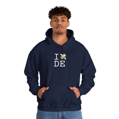 "I Lose Money in Delaware" Hoodie