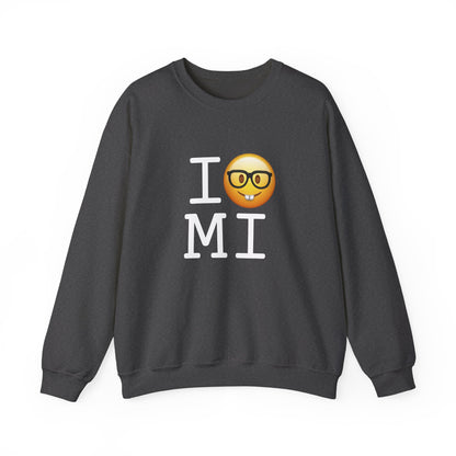 "I'm a Nerd about Michigan" Sweatshirt