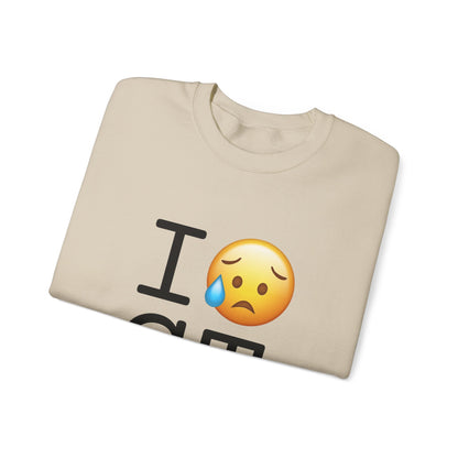 "I'm Sad About Connecticut" Sweatshirt