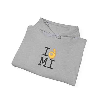 "I'm OK with Michigan" Hoodie