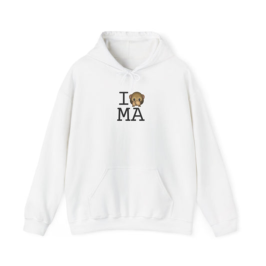 "I Don't Speak about Massachusetts" Hoodie
