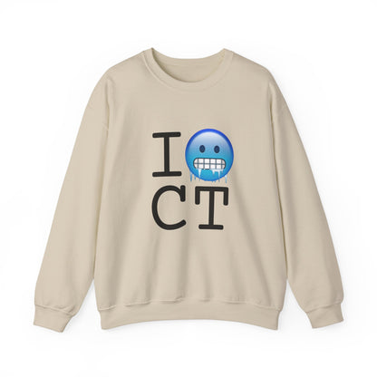 "I'm Cold in Connecticut" Sweatshirt