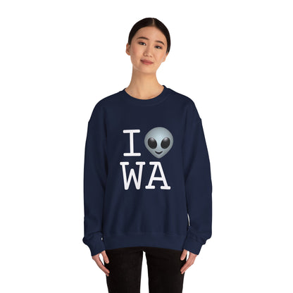 "I Feel Alien in Washington" Sweatshirt