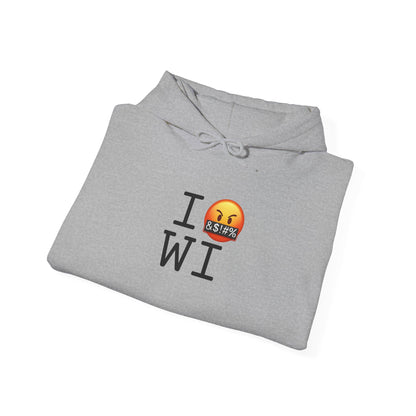"I Curse about Wisconsin" Hoodie