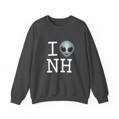 "I Feel Alien in New Hampshire" Sweatshirt