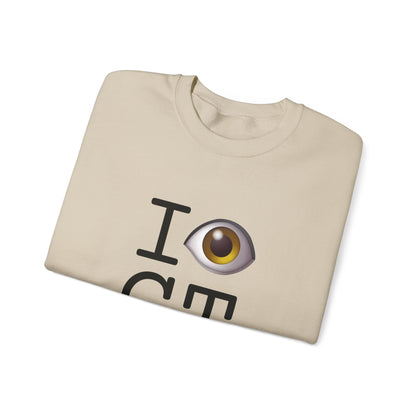 "I See (Eye) Connecticut" Sweatshirt
