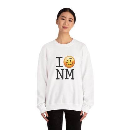 "I'm Drunk in New Mexico" Sweatshirt