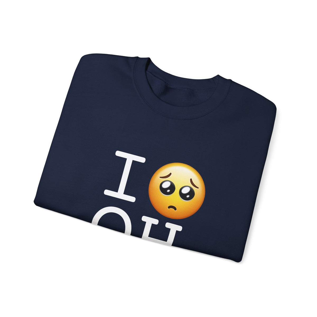 "I'm Begging about Ohio" Sweatshirt