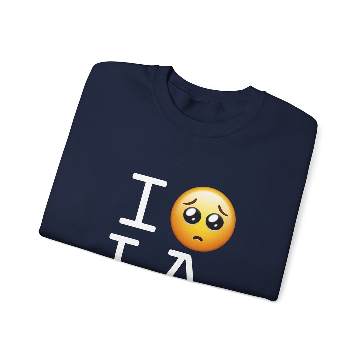 "I'm Begging about Louisiana" Sweatshirt