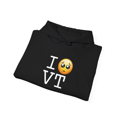 "I'm Begging about Vermont" Hoodie