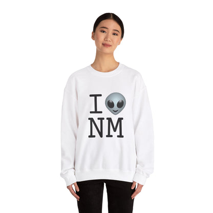 "I Feel Alien in New Mexico" Sweatshirt