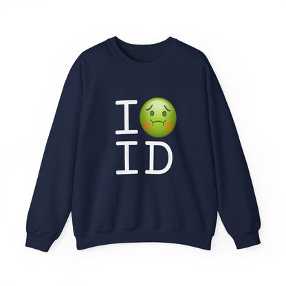 "I'm Nauseous about Idaho" Sweatshirt