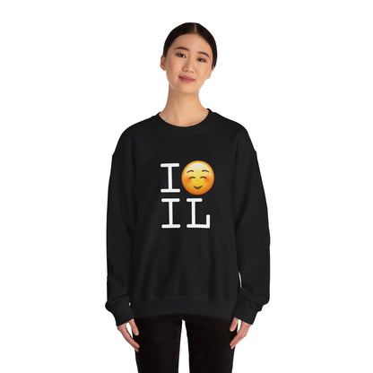 "I Blush at Illinois" Sweatshirt