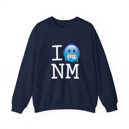 "I'm Cold in New Mexico" Sweatshirt