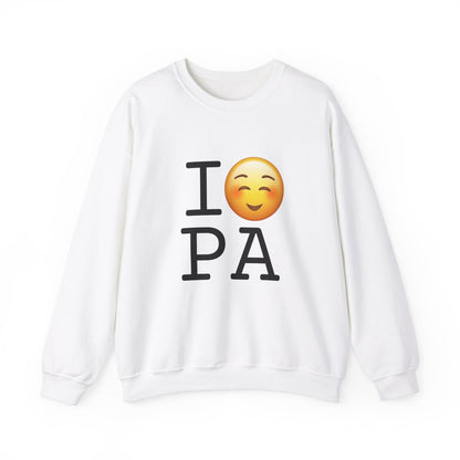 "I Blush at Pennsylvania" Sweatshirt