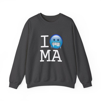 "I'm Cold in Massachusetts" Sweatshirt