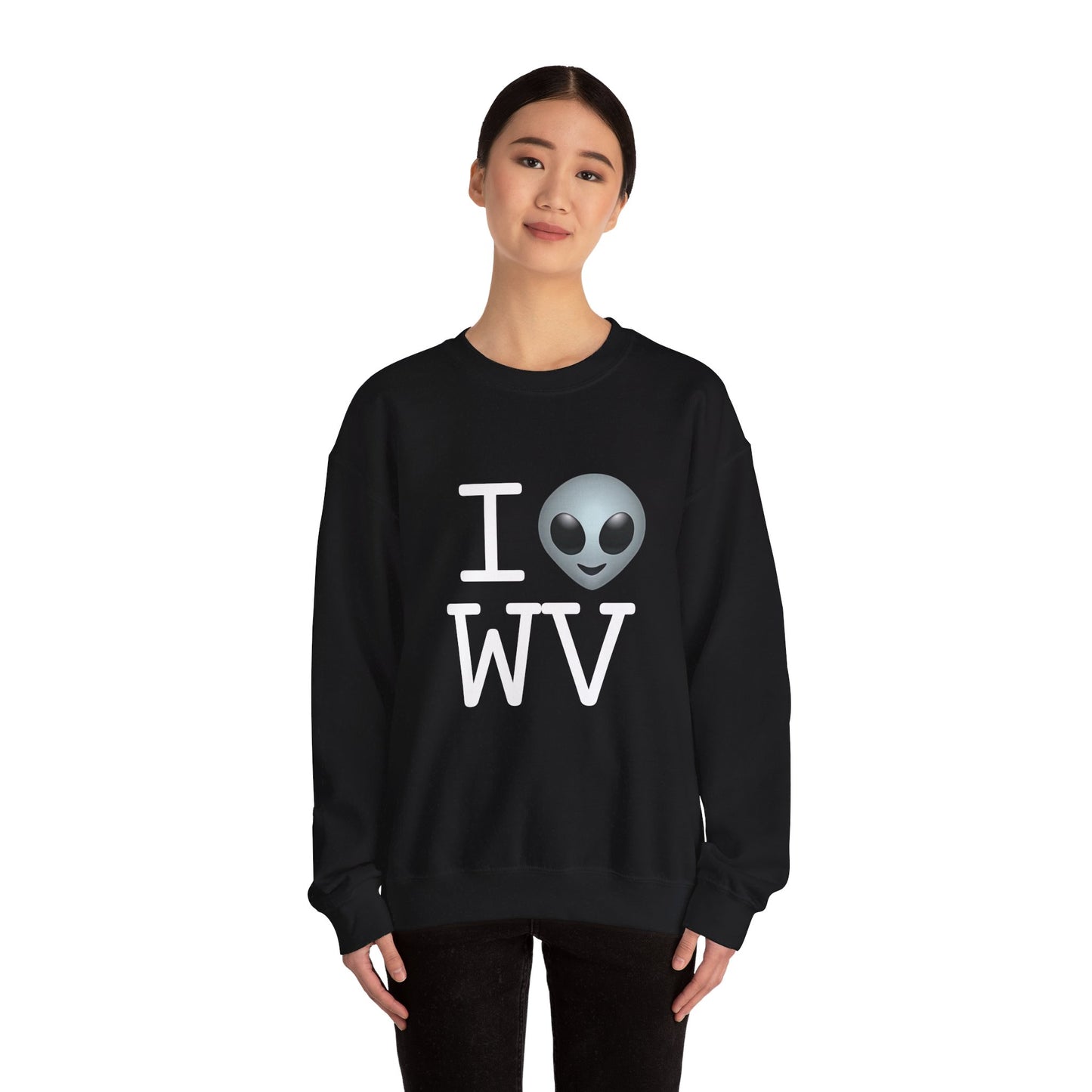 "I Feel Alien in West Virginia" Sweatshirt