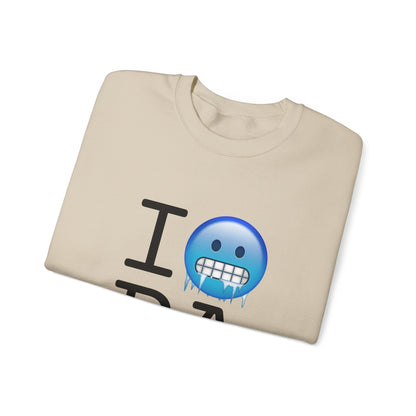 "I'm Cold in Pennsylvania" Sweatshirt