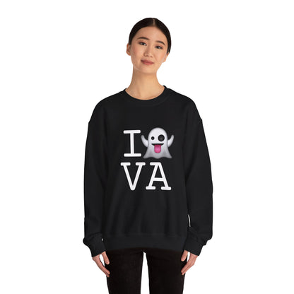 "I'm Ghosting Virginia" Sweatshirt