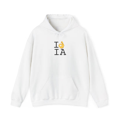 "I'm OK with Iowa" Hoodie