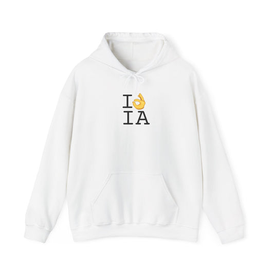 "I'm OK with Iowa" Hoodie