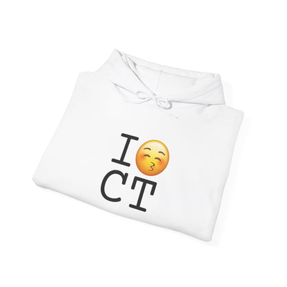 "I Kiss Connecticut" Hoodie