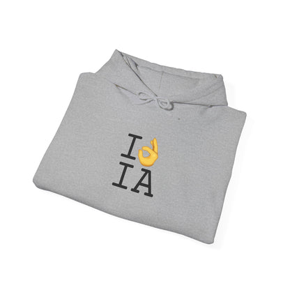 "I'm OK with Iowa" Hoodie