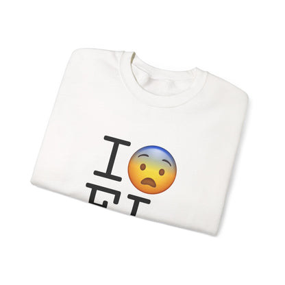 "I Fear Florida" Sweatshirt