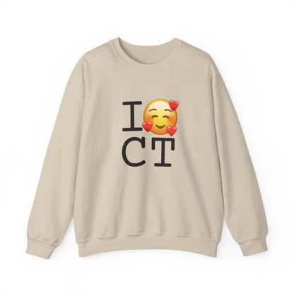 "I Adore Connecticut" Sweatshirt